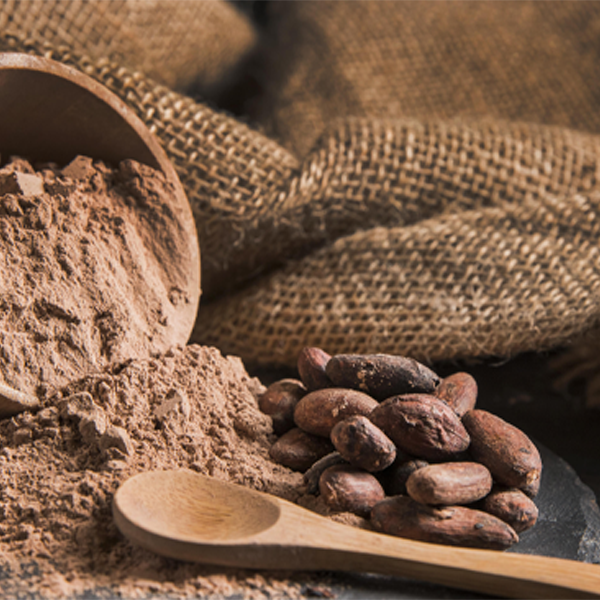 Trasporto pneumatico cacao in polvere