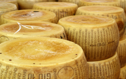 Case study per parmigiano