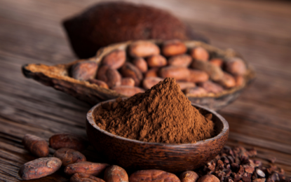 Case study per cacao