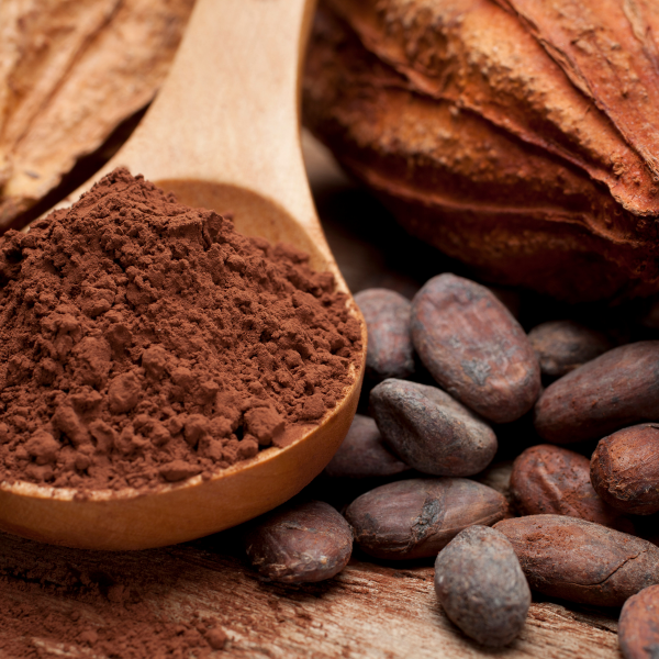 Trasporto pneumatico cacao in polvere